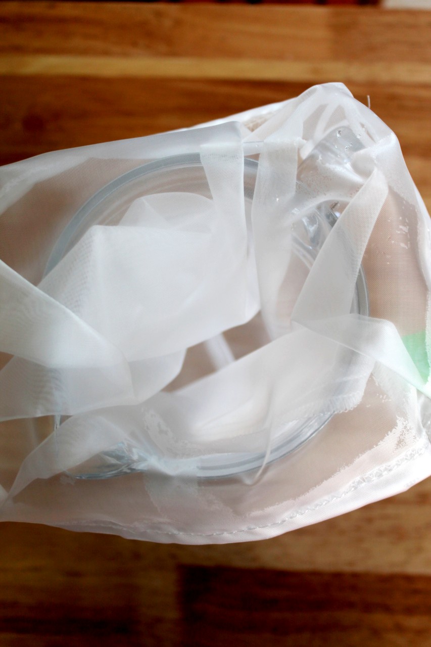 How to make Soy milk Instant pot stove top Living Smart And Healthy