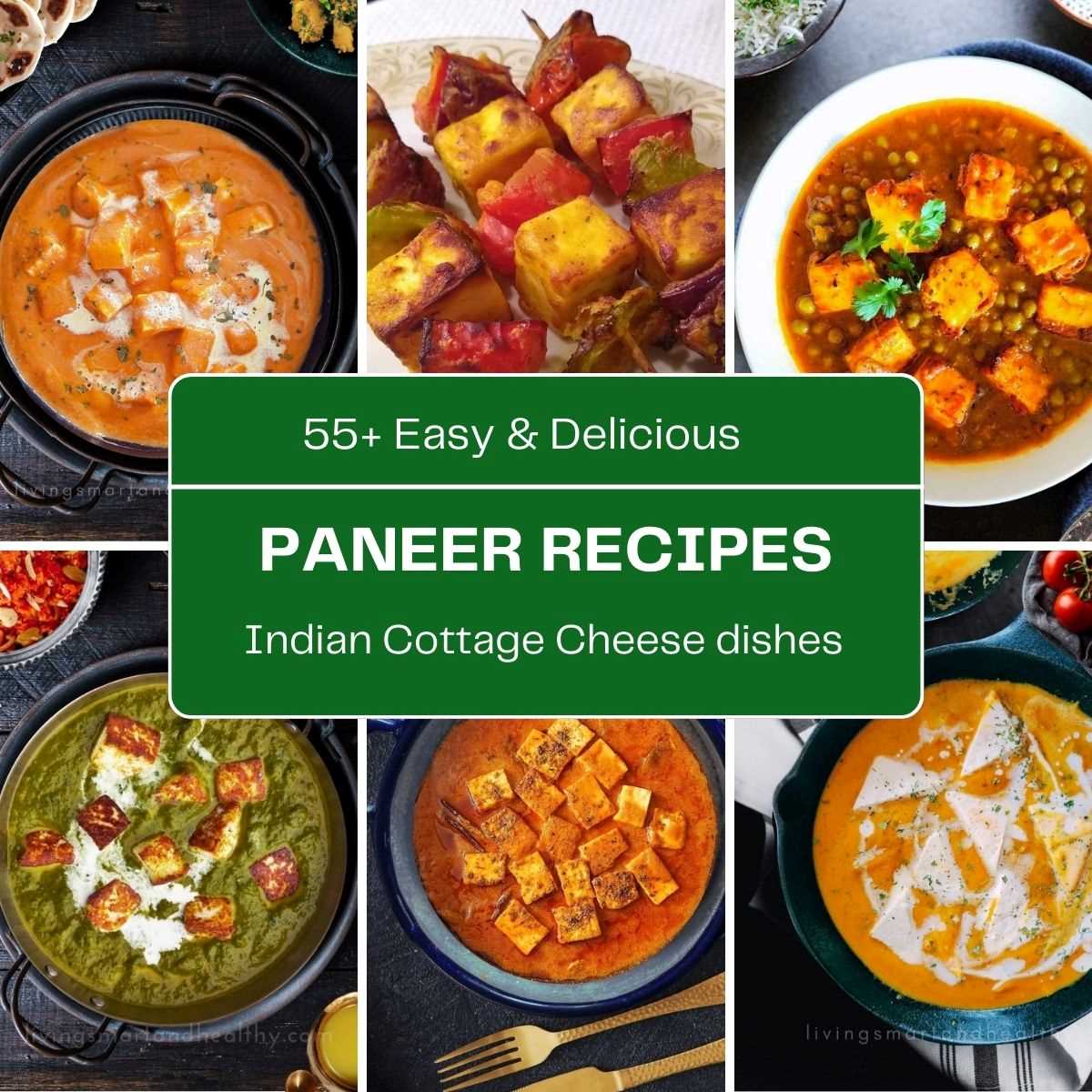 paneer-recipes-recipes-with-paneer-indian-recipe-with-paneer-cheese