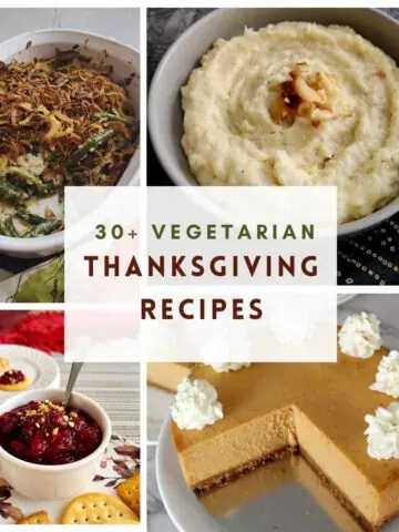 best thanksgiving vegetarian recipes